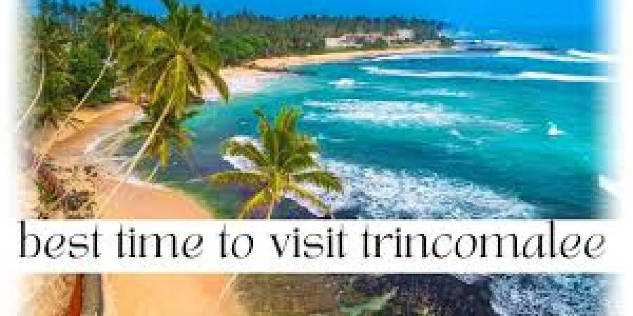 Group Tour Image