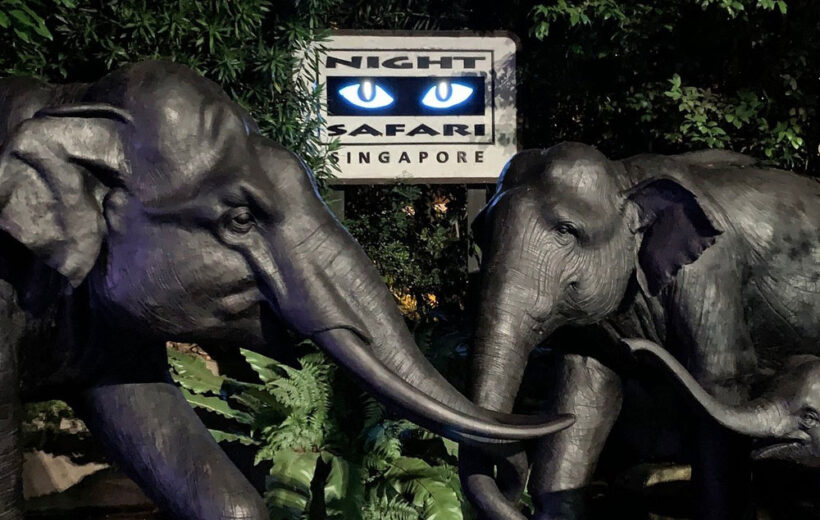 Singapore 3Nights with Night Safari